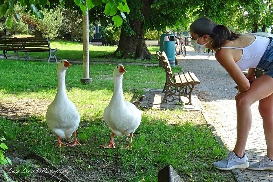 primavera lago maggiore