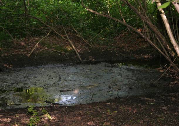 Reticolo Idrico Minore (RIM) del Comune di Casale Litta