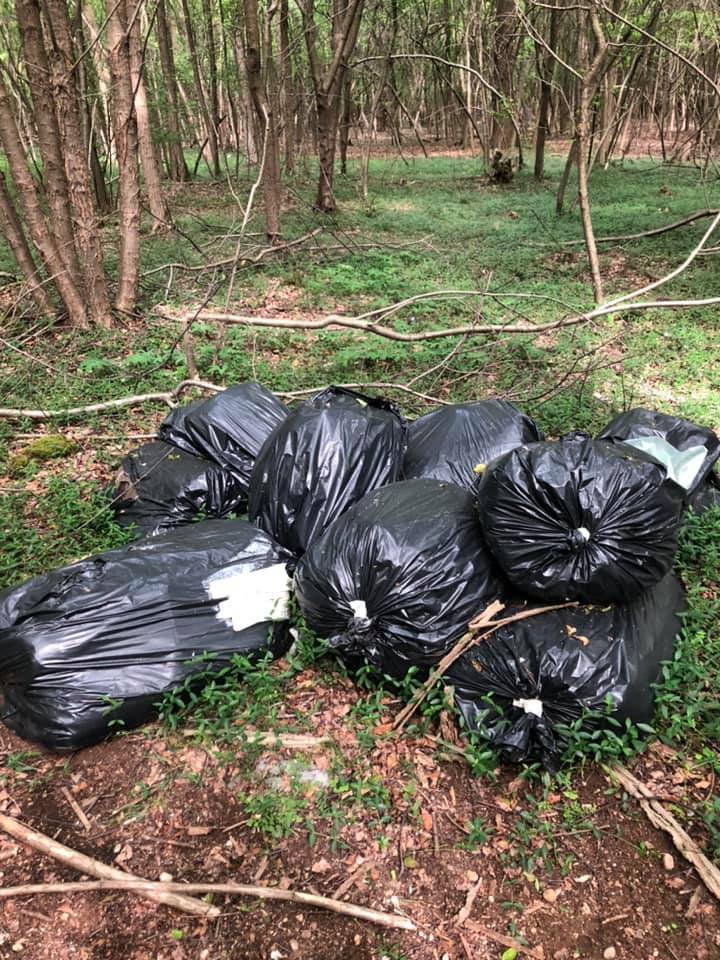 Rifiuti bosco Samarate