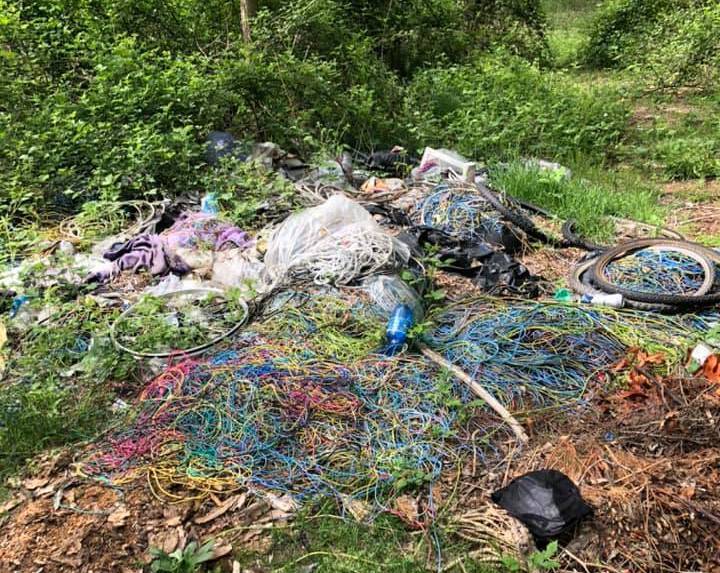 Rifiuti bosco Samarate