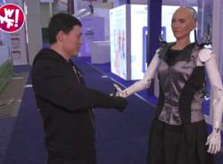 robot sophia