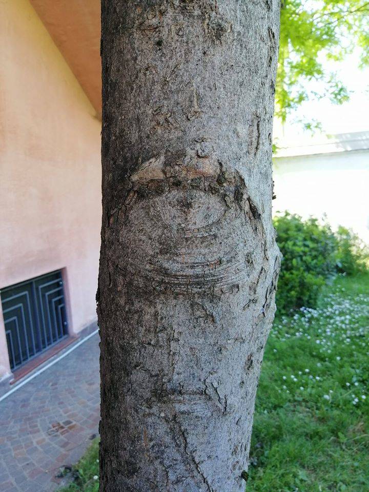 volti in natura - sfida foto Parco Lura