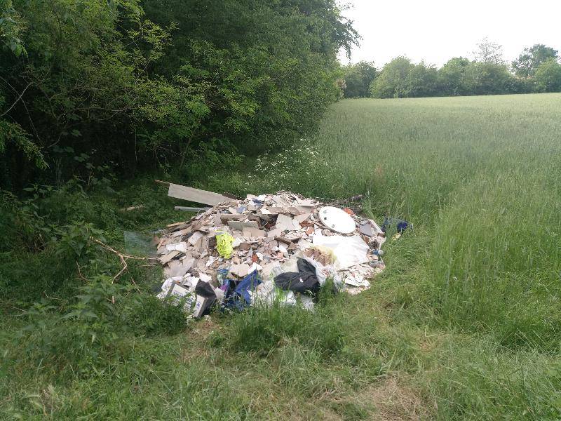 cacciatori di san giorgio e canegrate ripuliscono il parco del roccolo