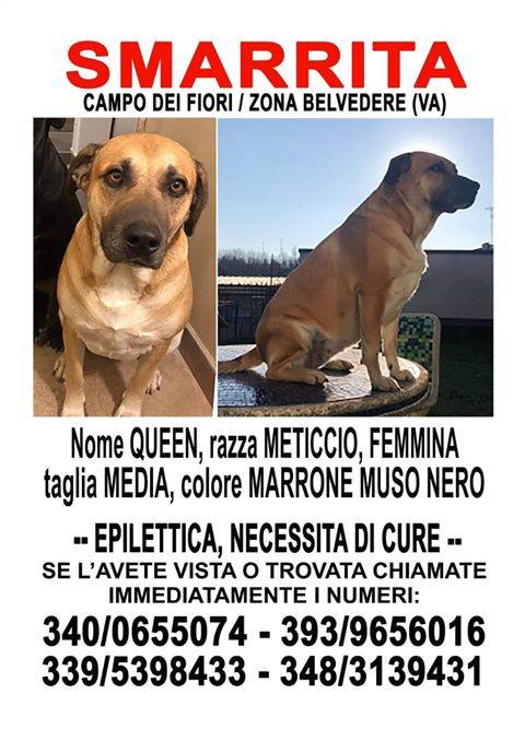 È scappata Queen