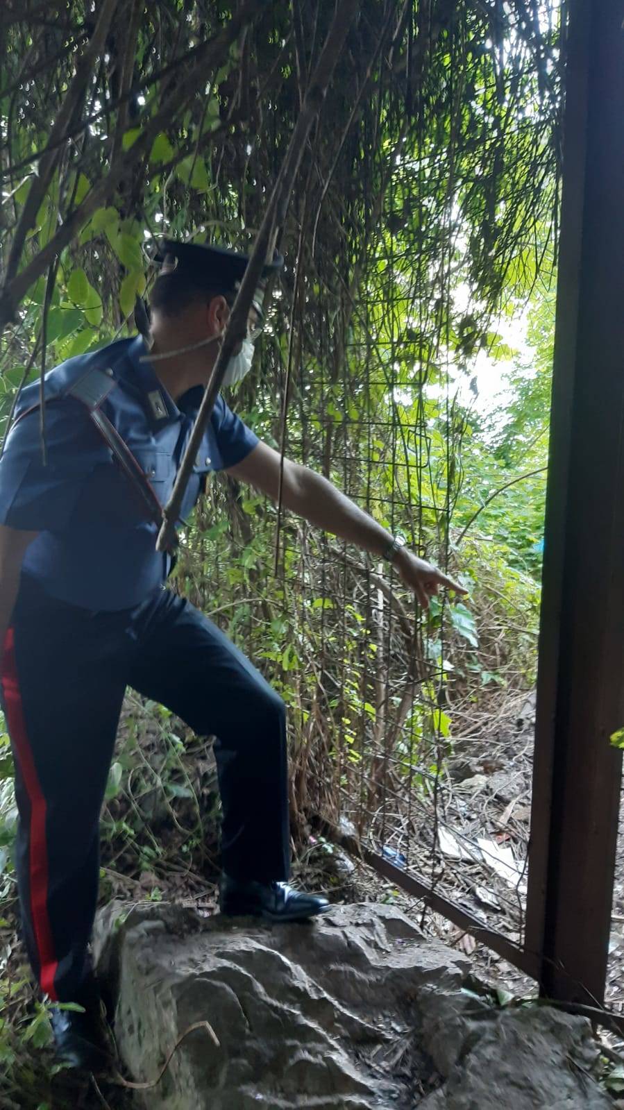 Blitz dei carabinieri alle fornaci