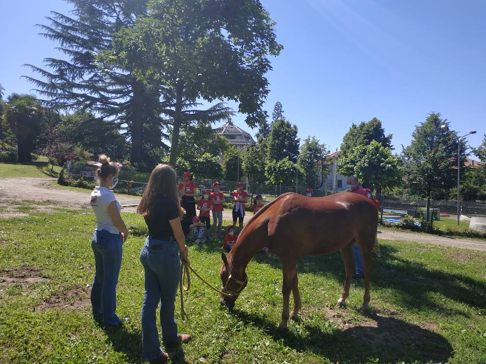 E~STATE, TUTTI BENE! Il campo estivo della Pro Loco Varese