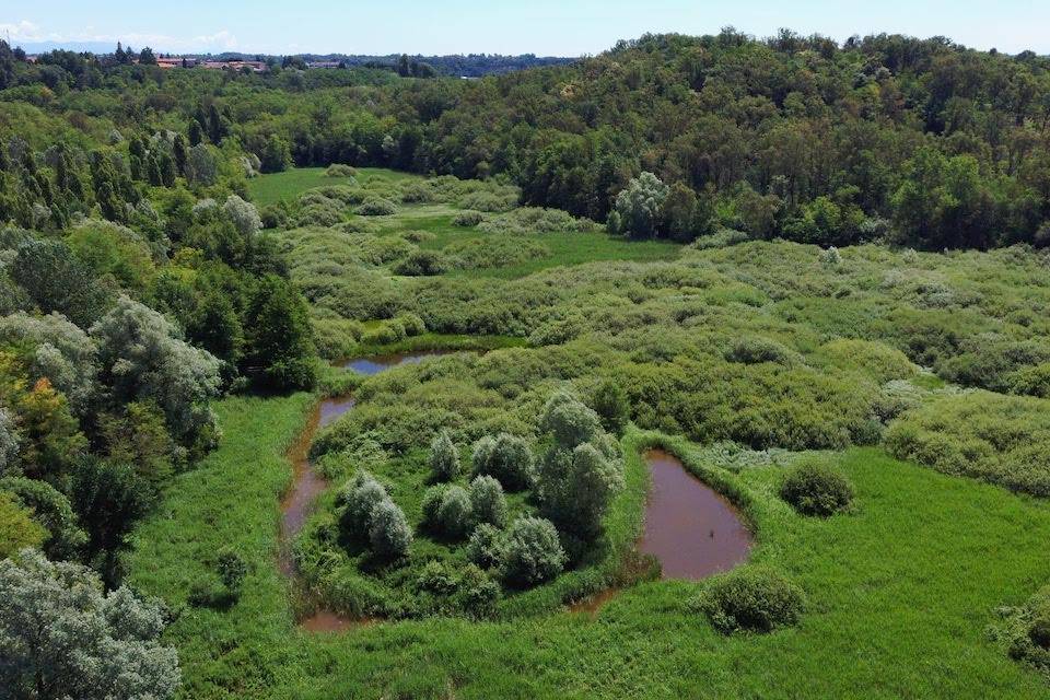 Foto del giorno giugno 2020