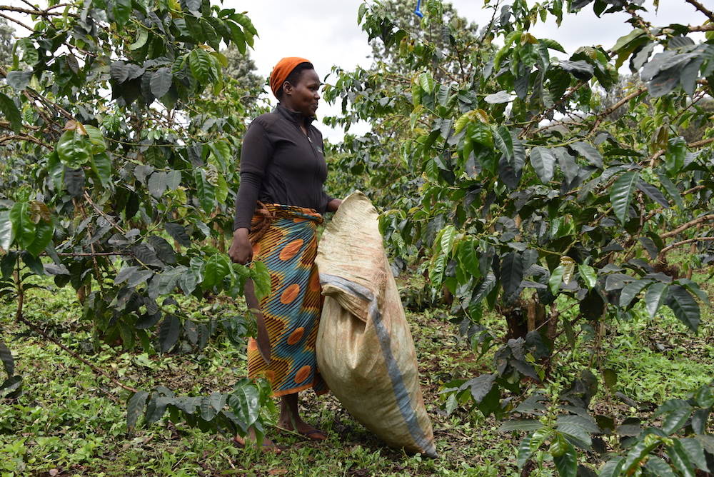 In viaggio col mercante, Tanzania. Parte 4