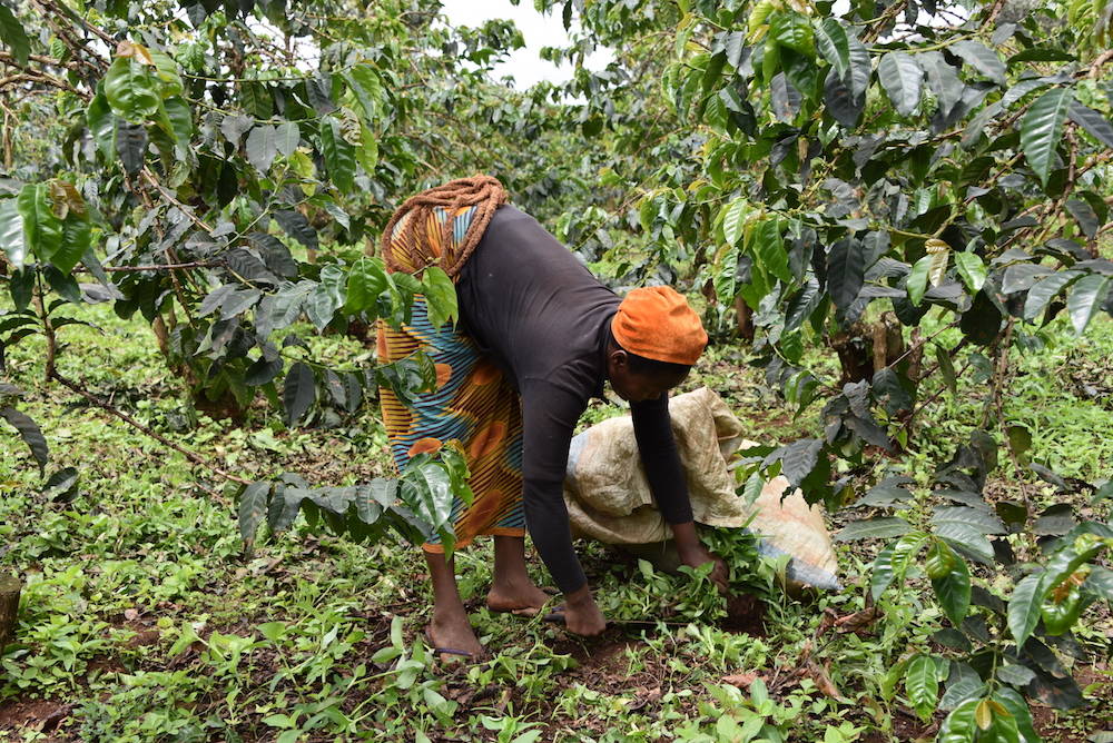 In viaggio col mercante, Tanzania. Parte 4