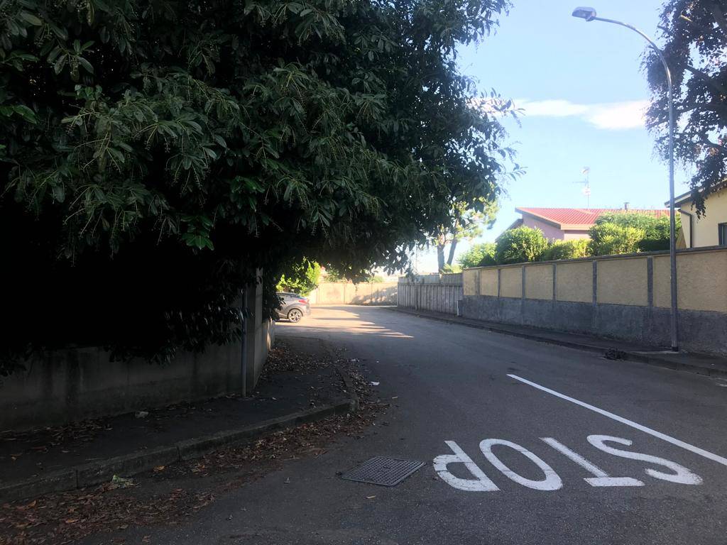 Invasione di verde tra via G.Bruno e via Boccaccio