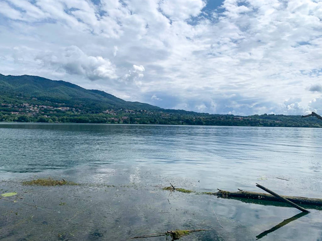 lago di varese attiva