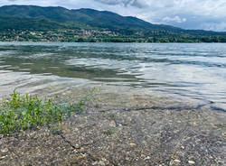 lago di varese attiva