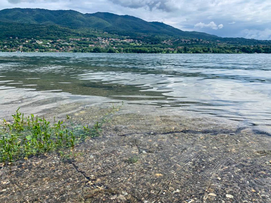lago di varese attiva