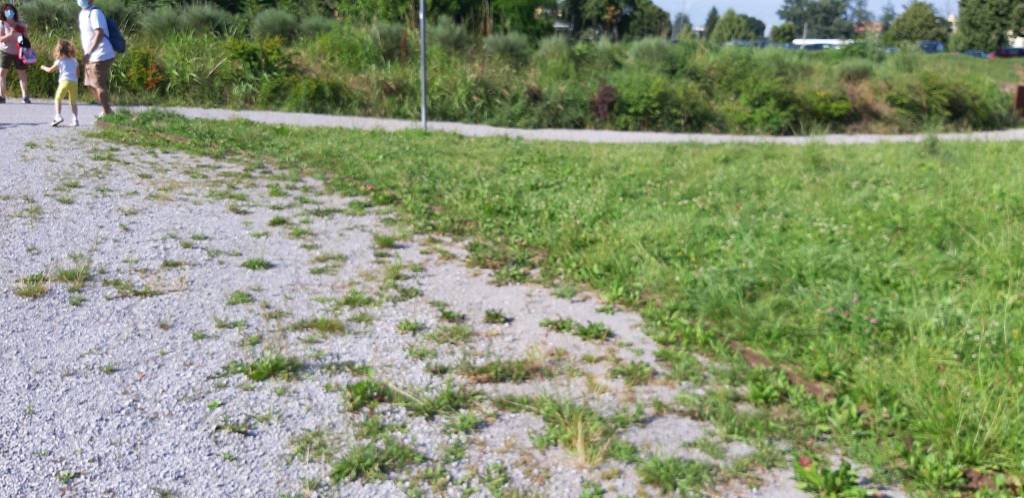 Legnano e il verde, forse un po' troppo