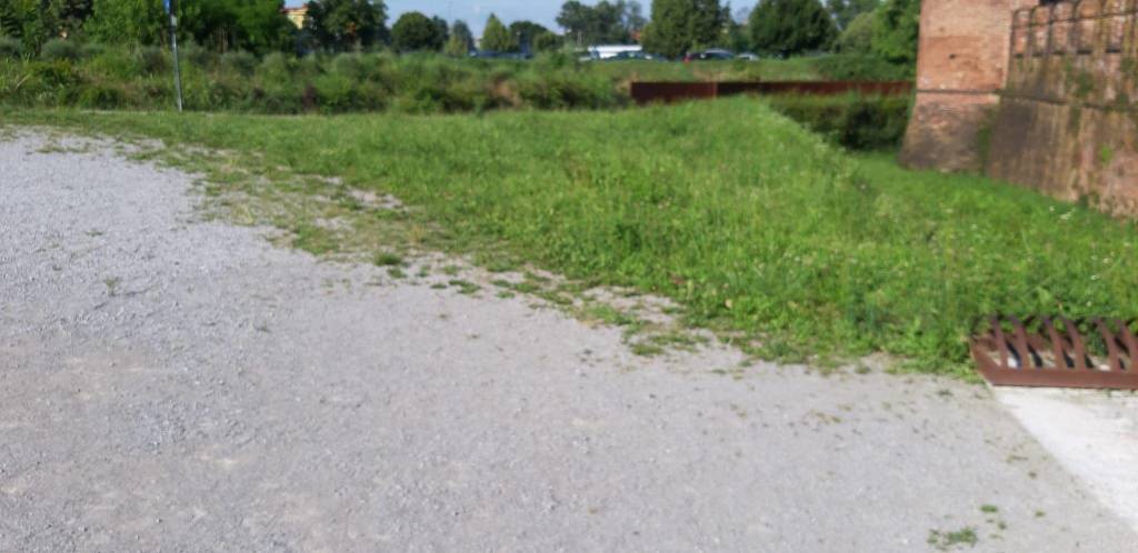 Legnano e il verde, forse un po' troppo
