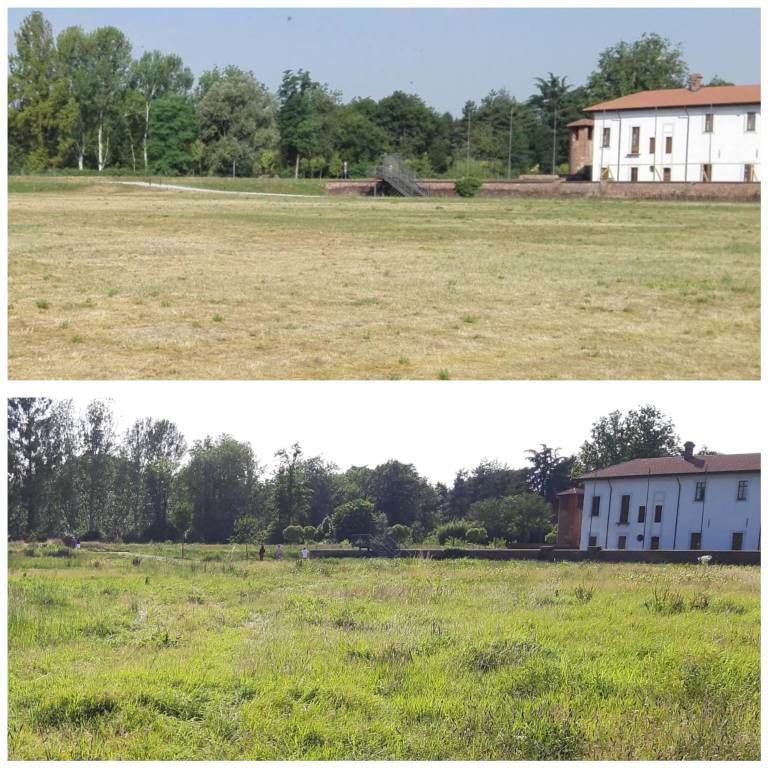 Legnano e il verde, forse un po' troppo
