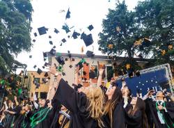 liuc laureati