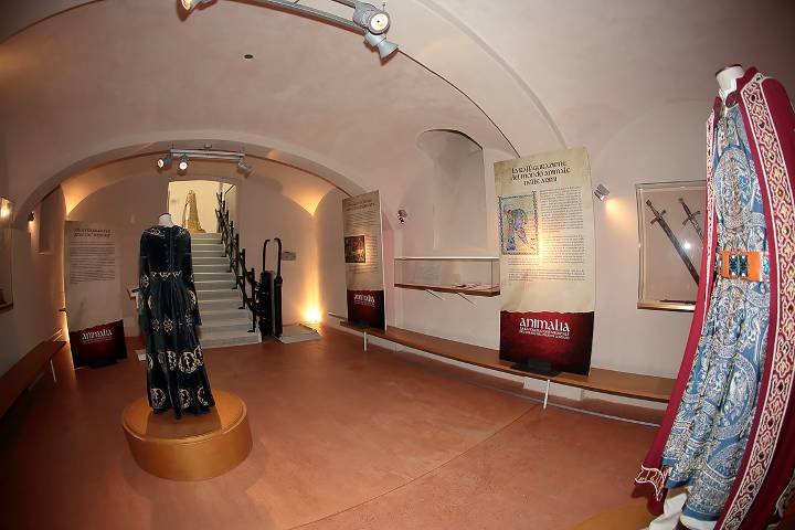 Mostra Castello Legnano