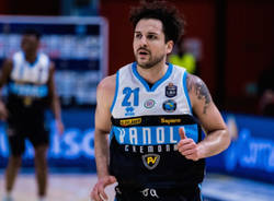 niccolò de vico basket