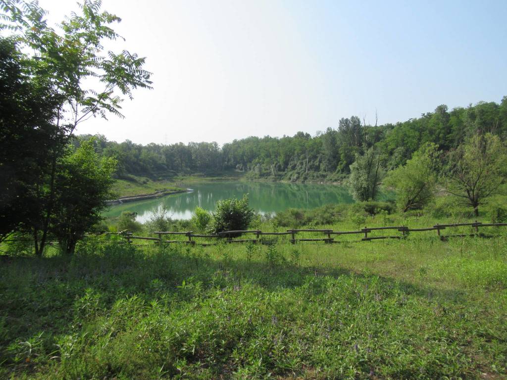 Parco degli Aironi