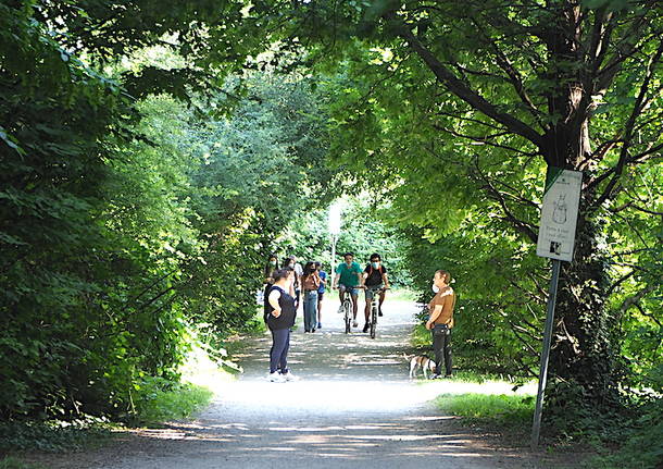 Parco del Lura (foto di Roberto Gernetti)