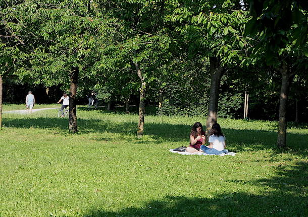 Parco del Lura (foto di Roberto Gernetti)