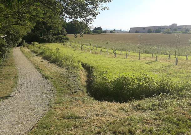 Progetto "Sistemi Verdi": gli interventi realizzati nel Parco dei Mughetti 