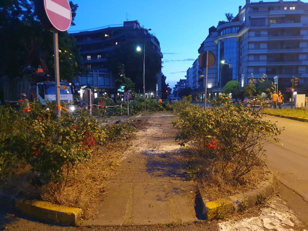 taglio alberi largo giardino busto arsizio
