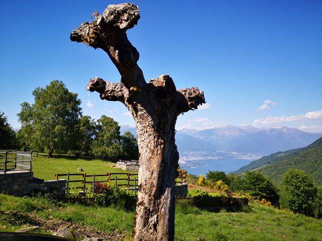 Un weekend sul Basso Verbano