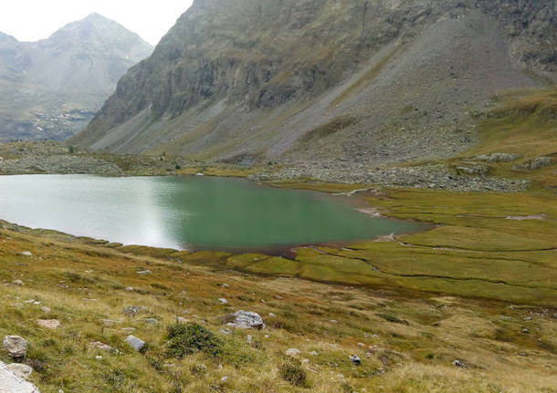 Valtellina Bormio montagna