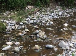 Varese - Liquami nel torrente Valle Luna