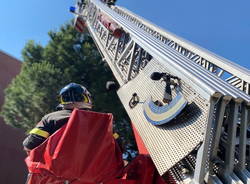 vigili del fuoco legnano; recupero gatto 