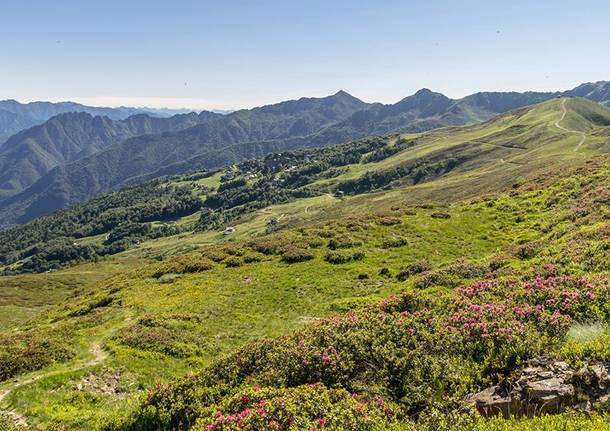 alpe di mera