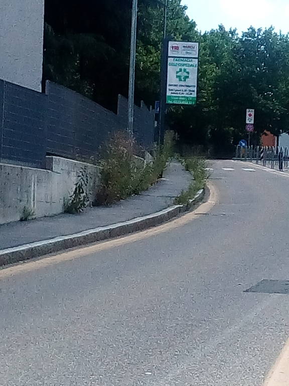 via Guicciardini...esempio di Città Giardino???