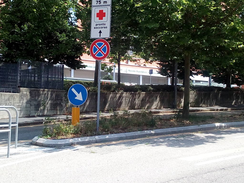 via Guicciardini...esempio di Città Giardino???