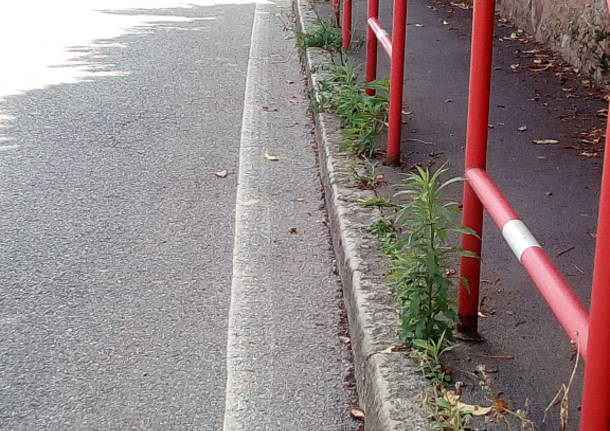 Via Guicciardini, cattivo esempio di Città Giardino