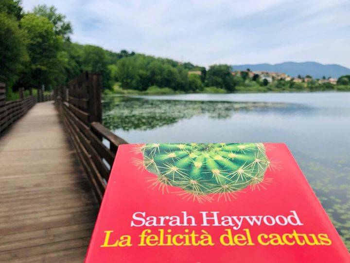 \"Ma dove sta?\" il gioco dei libri nei posti inaspettati