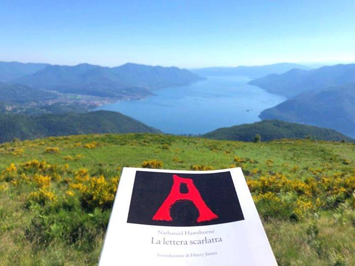 \"Ma dove sta?\" il gioco dei libri nei posti inaspettati