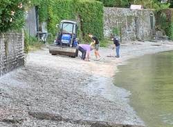 Pulizia spiagge a Castelveccana