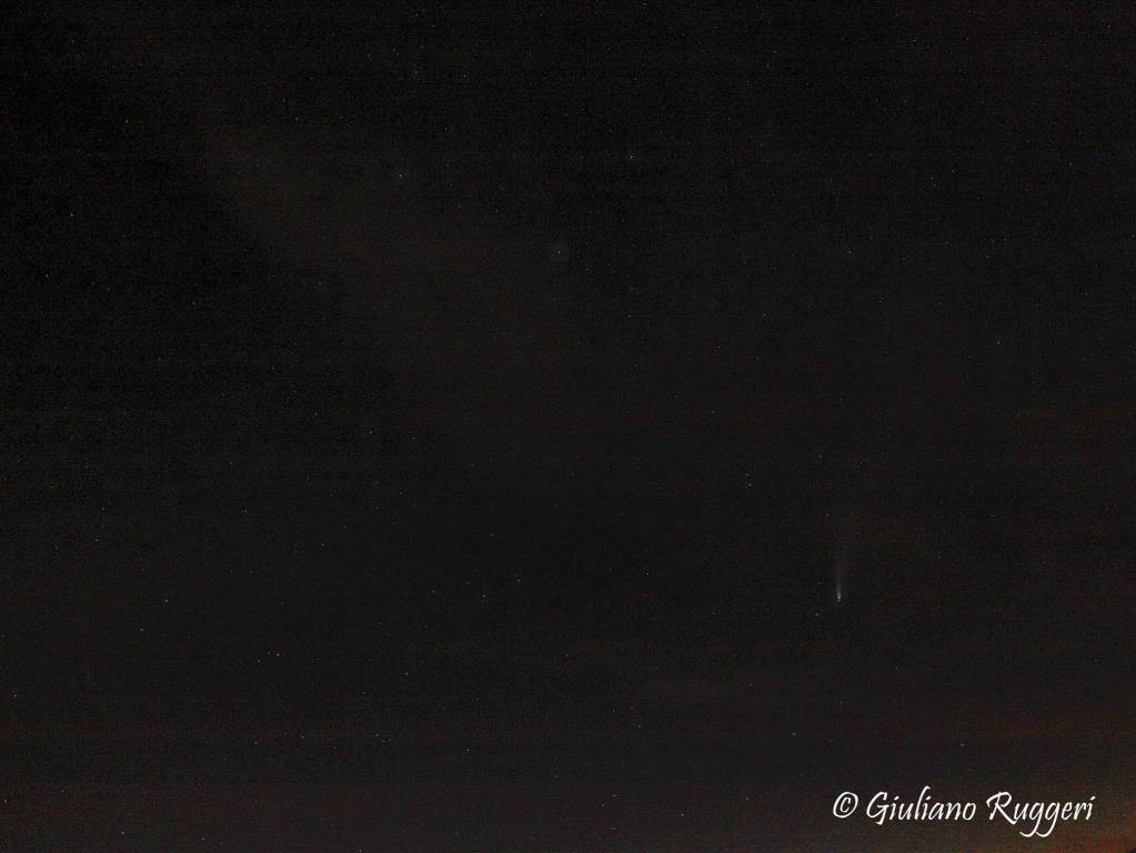 Naso all\'insù per la cometa Neowise