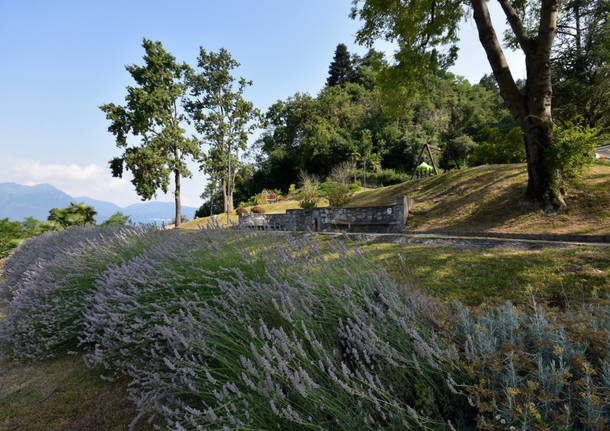 Il nuovo parco del Castellaccio