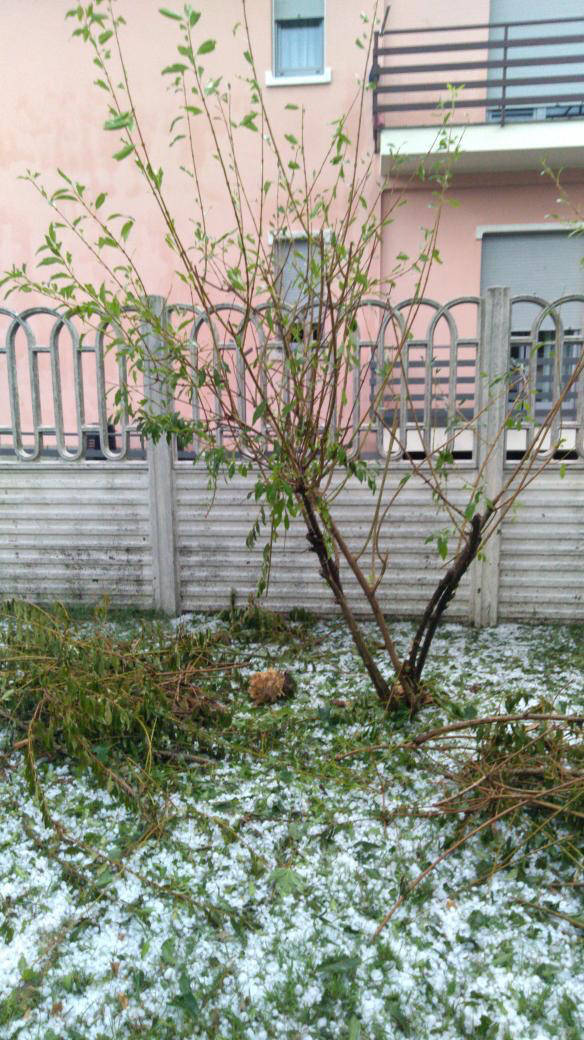 Cislago, grandine come neve
