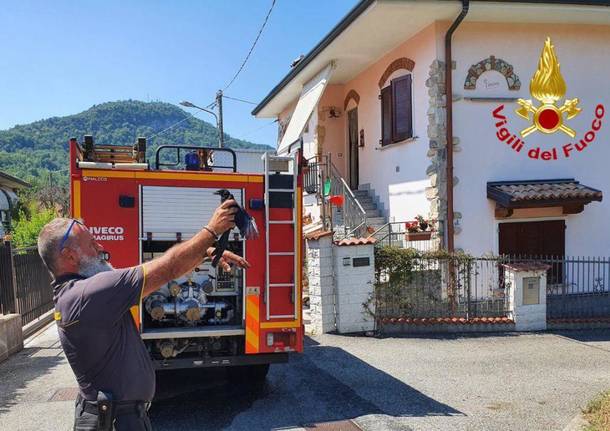 Cittiglio - Cornacchia salvata dai vigili del fuoco