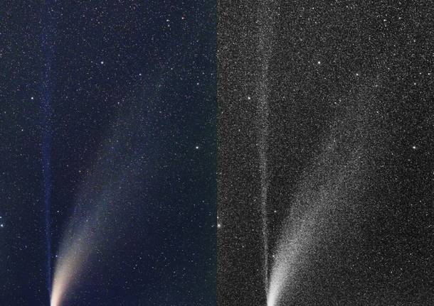 Cometa NEOWISE (osservatorio schiaparelli)