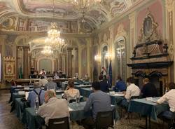 Consiglio comunale varese luglio 2020