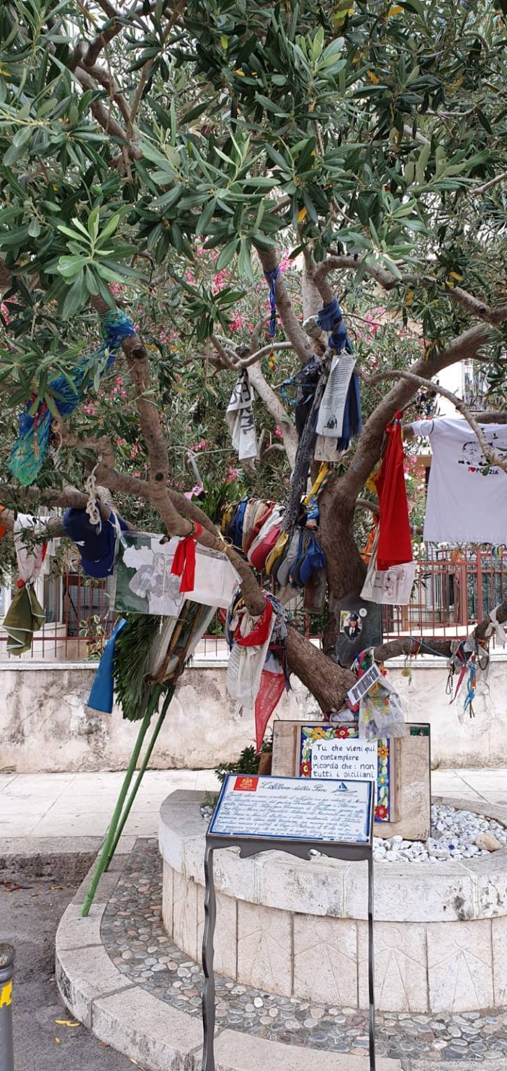 Il ricordo di Paolo Borsellino all'albero della Pace 