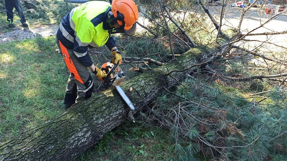 La Protezione Civile rimette in sicurezza i giardini di via Marconi a Canegrate