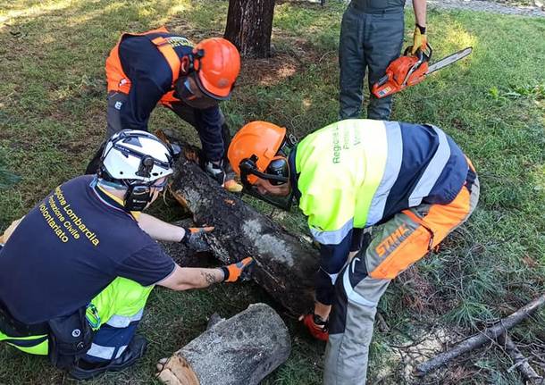 La Protezione Civile rimette in sicurezza i giardini di via Marconi a Canegrate