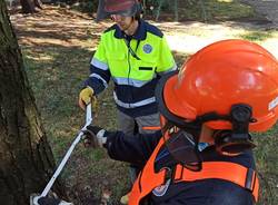 La Protezione Civile rimette in sicurezza i giardini di via Marconi a Canegrate