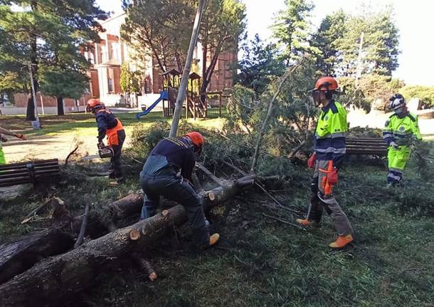 La Protezione Civile rimette in sicurezza i giardini di via Marconi a Canegrate